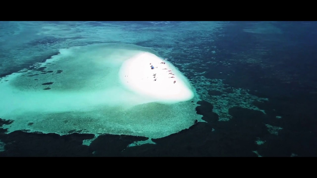 Bluemoon Resort - Zanzibar