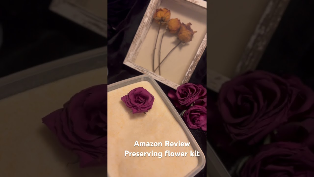 Amazon Review Flower drying kit with Silicia gel #amazonreview #amazonproducts #flowers