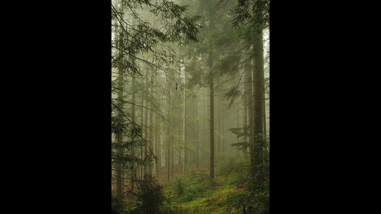 HOME AGAIN ( 10 minutes of meditating music )