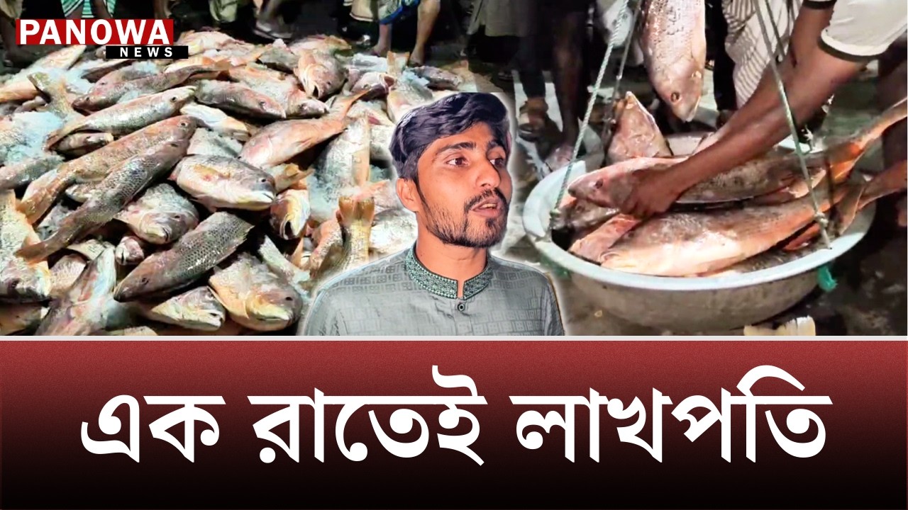 টেকনাফে এক ট্রলারে ৪০ লাখ টাকার কোরাল | Red Coral Fish | Teknaf | Panowa News