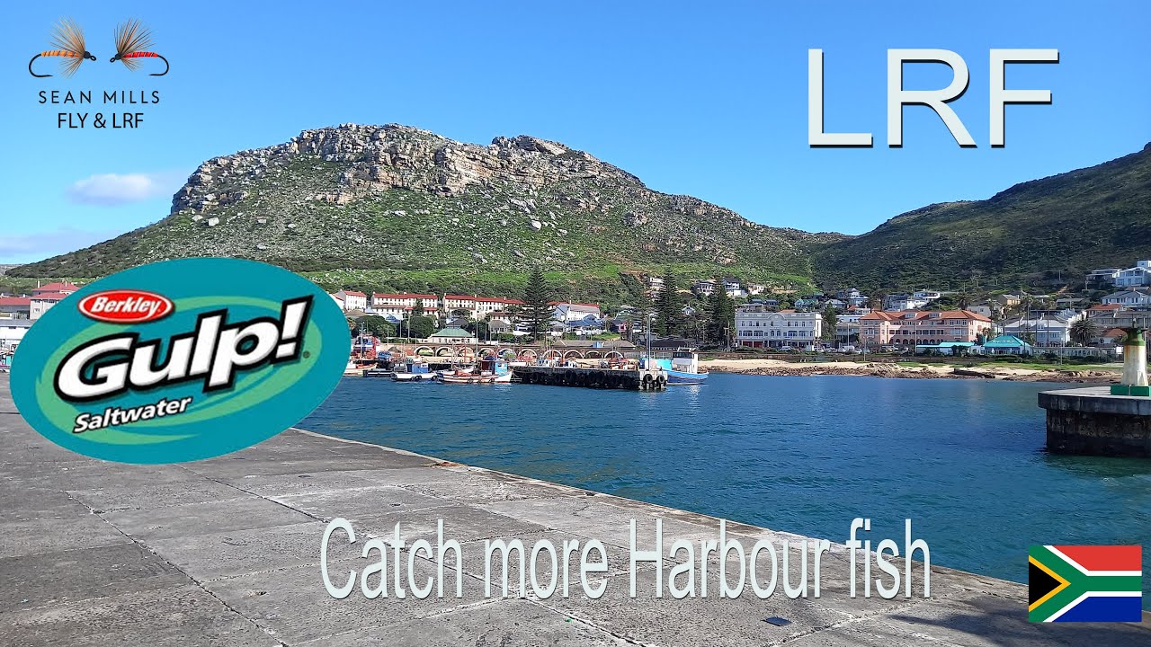 LRF Fishing Species bashing at Kalk Bay with underwater takes