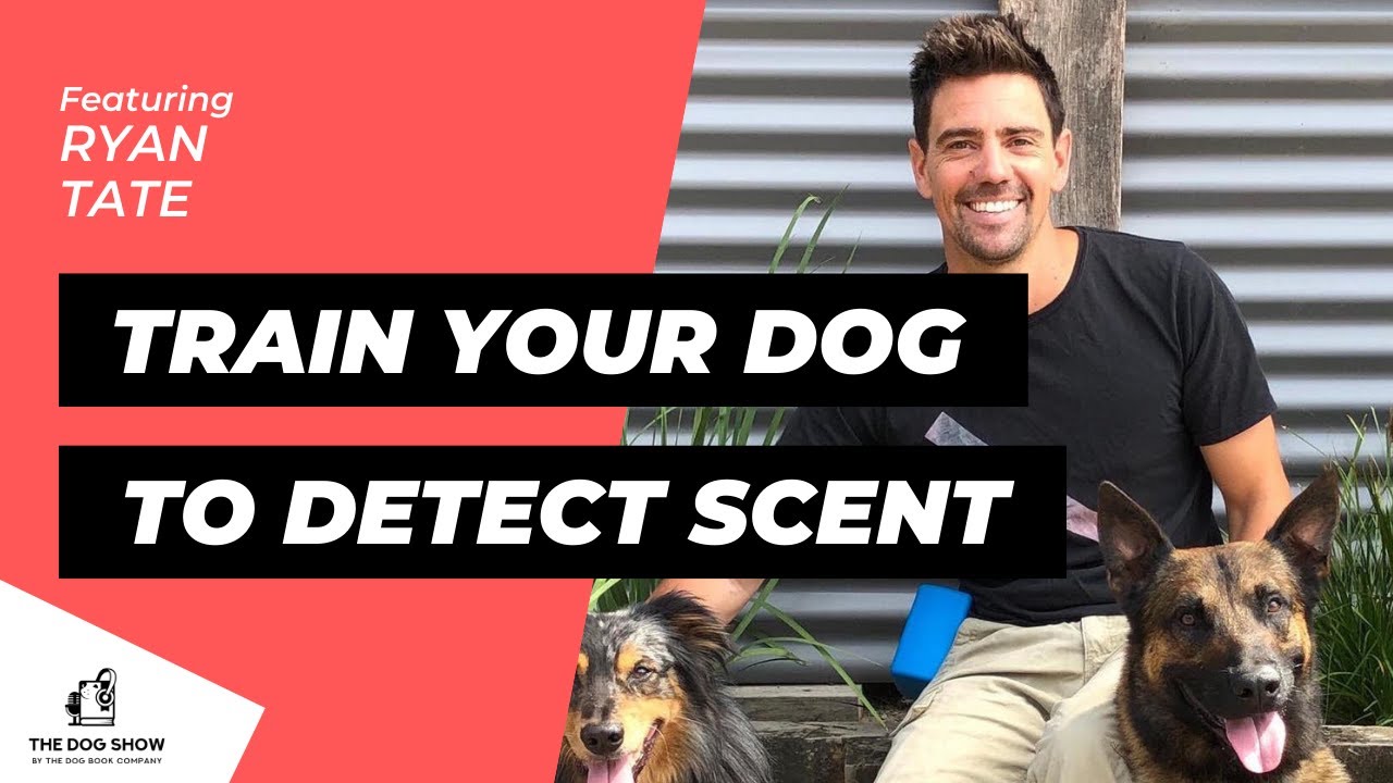 How to Train Your Dog to Detect Scent Ft. Ryan Tate (Episode 62)