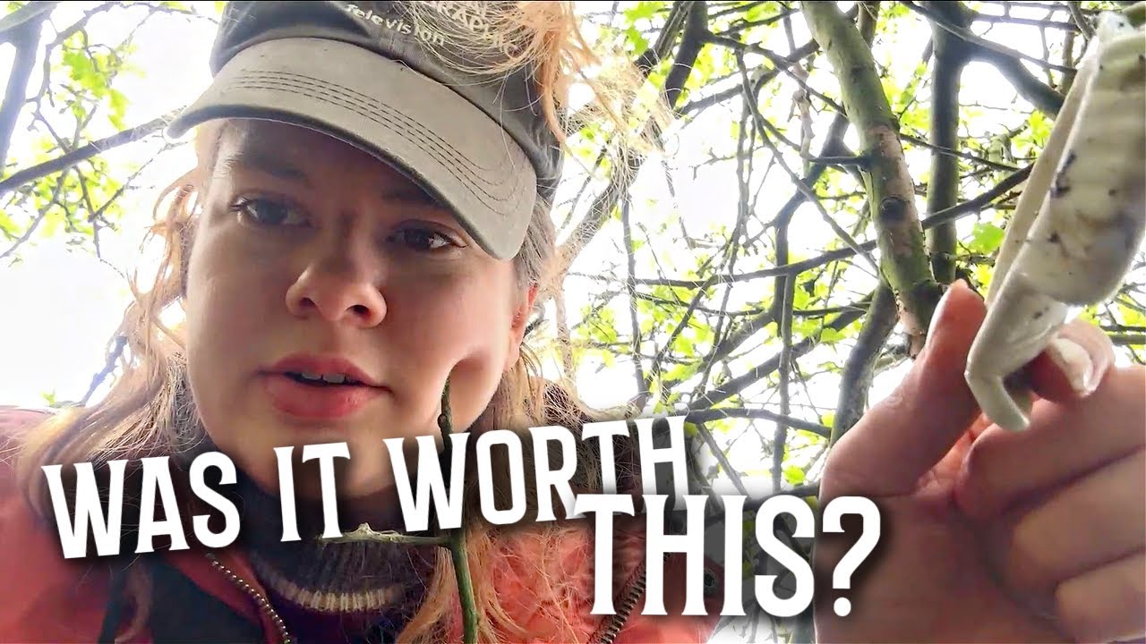 Stuck in a Bush - Was is worth it? Mudlarking after a High Tide! Help us identify mystery finds!