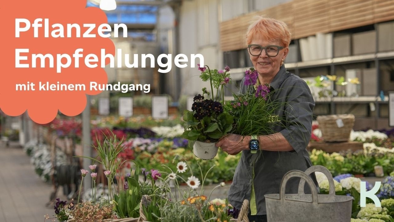 Die schönsten Pflanzen fürs Frühjahr | Tipps direkt aus dem Gartencenter