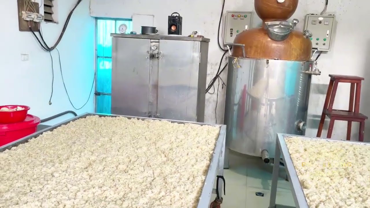 Tham quan xưởng rượu Phú Lương - Nghệ An •  Nét đẹp thủ công, hương vị truyền thống ☎️ 0389339639