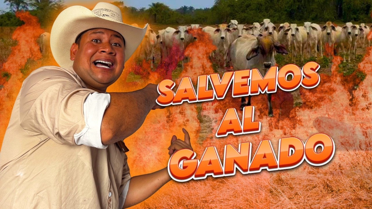 SALVAMOS AL GANADO DE UN INCENDIO (UN DIA DE UN VAQUERO)!!