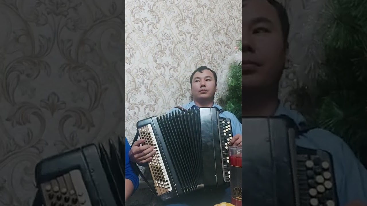 Аккыр ауылы олени