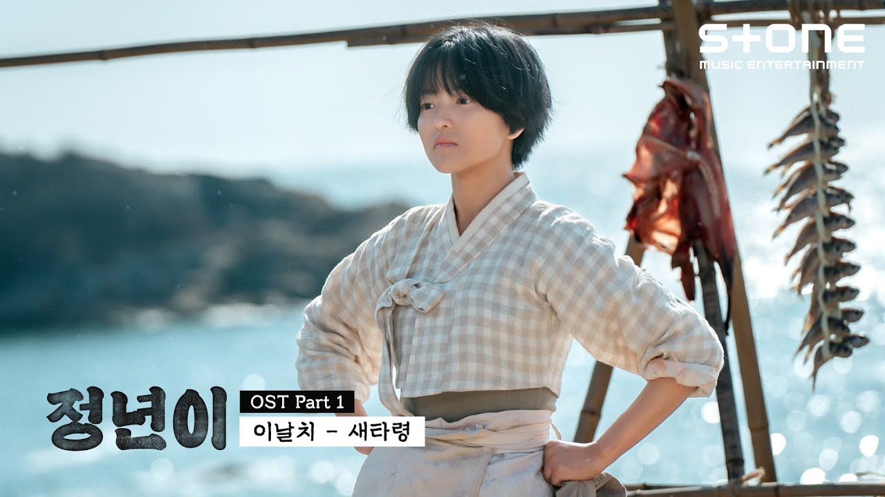 [Lyric Video] 이날치 - 새타령 (정년이 OST Part 1 : 새타령)｜리릭비디오｜가사｜Stone Music Playlist
