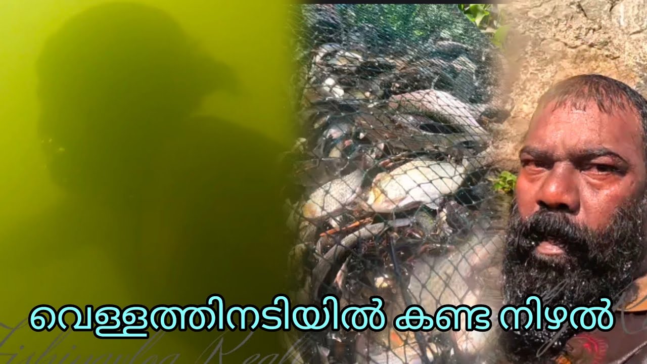 വെള്ളത്തിനടിയിൽ കണ്ട നിഴൽ | FISHINGVLOG | #reallife #realfishing 