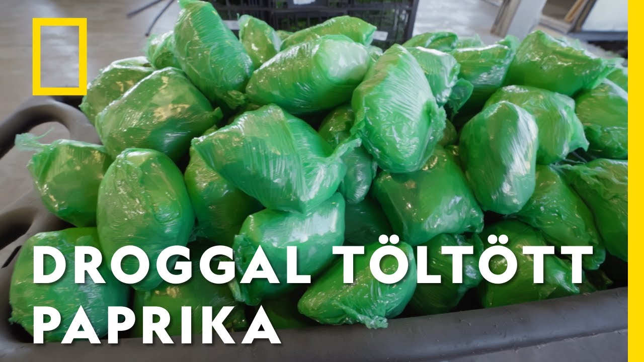 31 millió dollárt érő kábítószert találtak a chilipaprika-szállítmányban! | Csempészek és határőrök