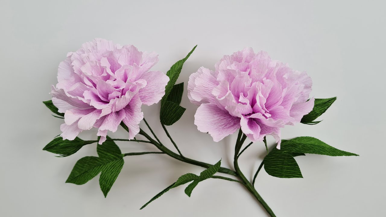 How To Make Confederate Rose Paper Flower / Paper Flower / Góc nhỏ Handmade