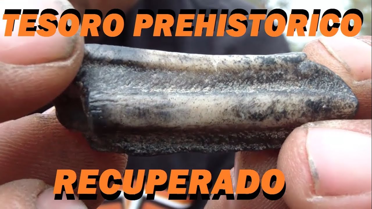 EN BÚSQUEDA DE UN TESORO DE LEYENDA 21 prt.