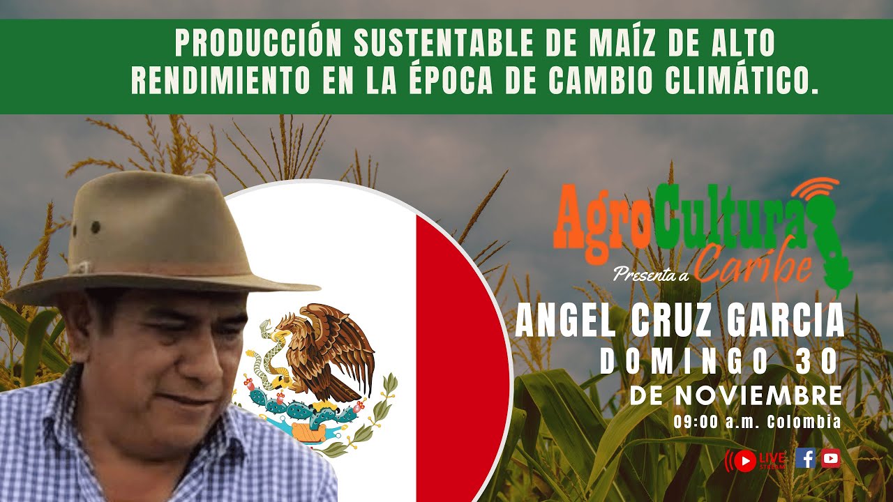 Producción sustentable de maíz de alto rendimiento en la época de cambio climático.