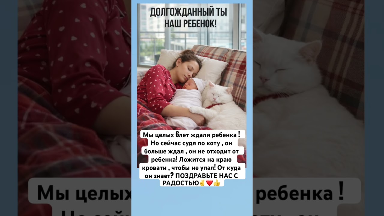 Мы 6 лет- ждали ребенка, но судя по коту он больше ждал ! Поздравьте нашу семью с прибавлением