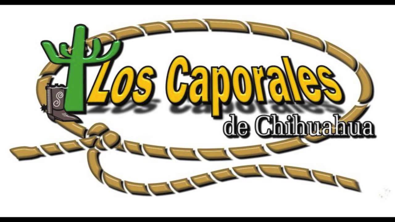 Los Caporales De chihuahua La Pico Blanco Y Los Mendoza