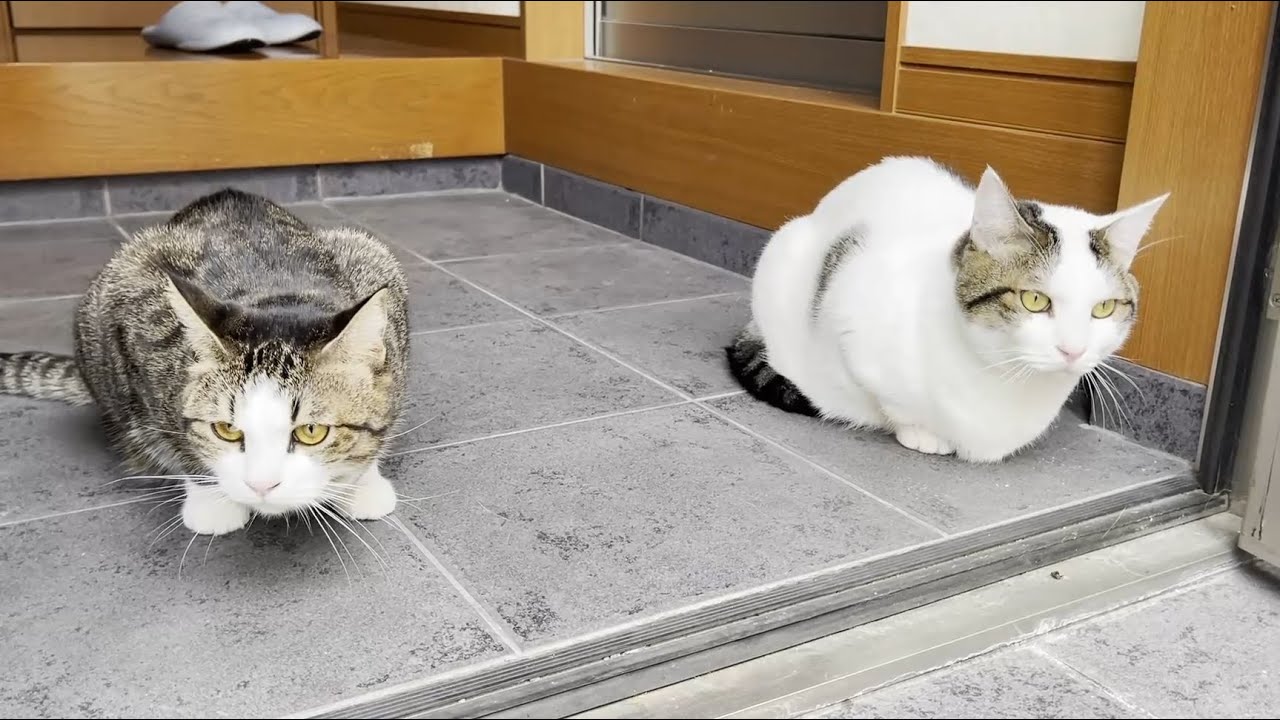 豆大福の一日に密着してみました
