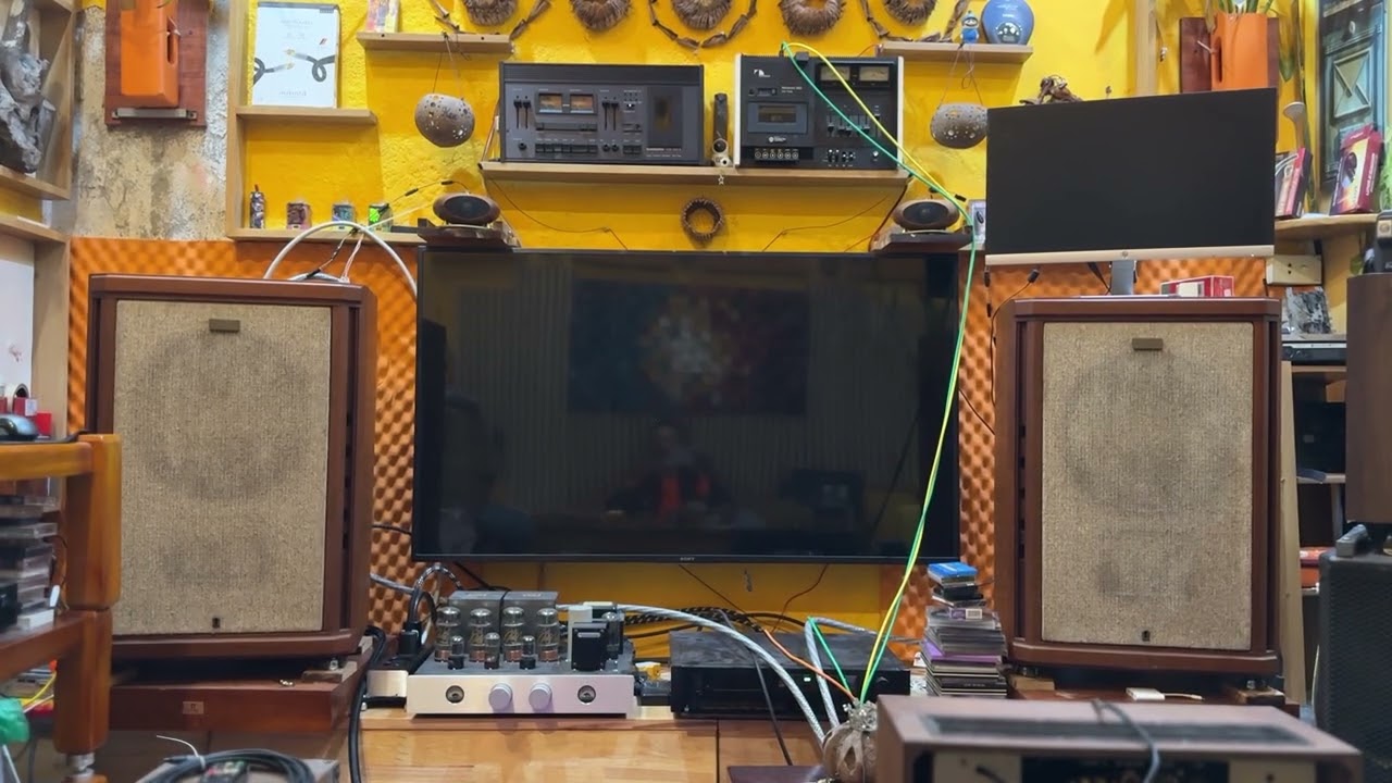 Trường Vũ / Từ Lúc Em Đi Rồi ( Tannoy độ tụ )
