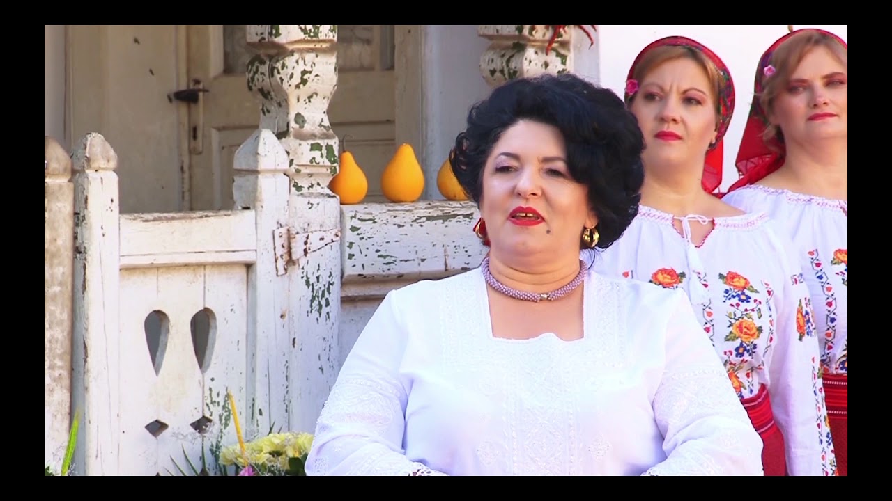 Petronela Radu -Unde-s anii din trecut