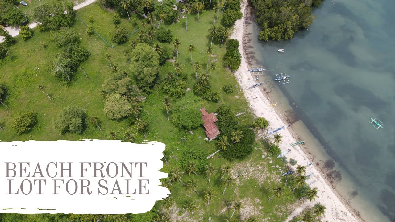 Beach Front LOT FOR SALE in Laiya San Juan Batangas