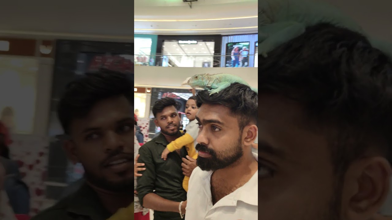 ОБЕЗЬЯНАМ ЗДЕСЬ НЕ РАДЫ #india #индия #viral #shopping