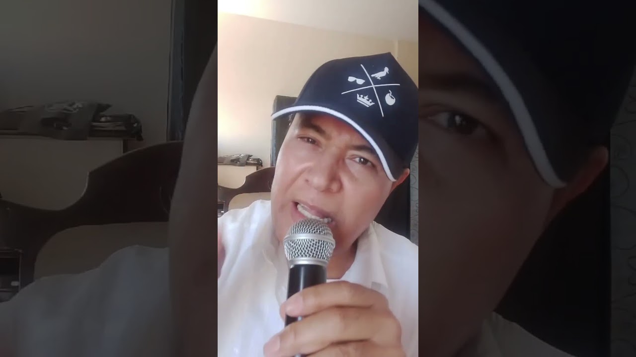 Meu boi manso.