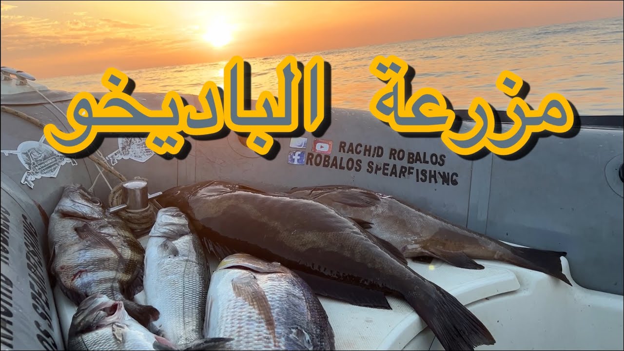 ‎رحلة  صيد فريدة في مزرعة الباديخو والدانتي ومغامرة مع  سمكة 🐟 الميرو القاتلة