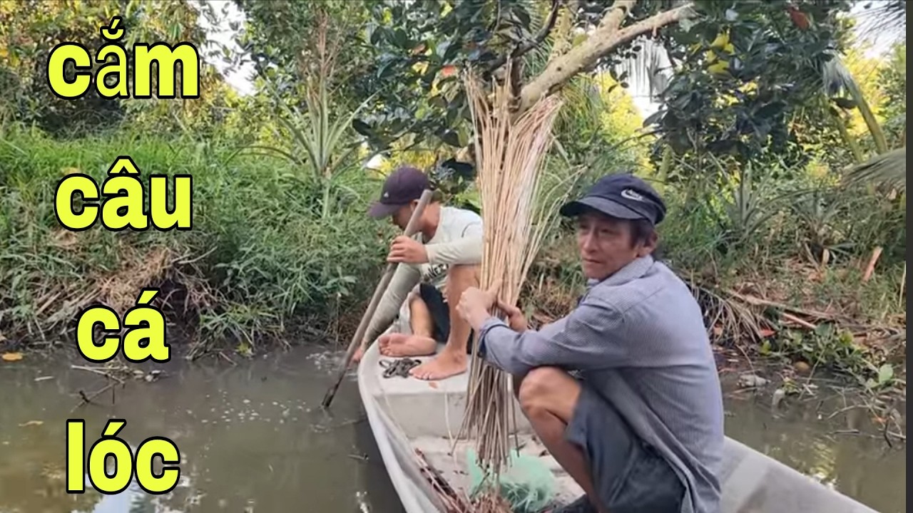 Mấy Anh Em Đi Cắm Câu Cá Lóc Nghe Chú Chủ Vườn Thấy Cá Chạy Bầy Bầy # SĂN BẮT ĐỒNG THÁP #