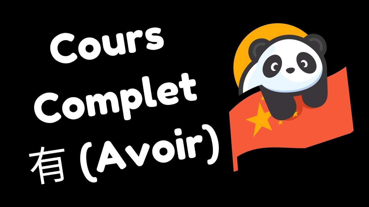 Cours complet sur 有 (yǒu) : possession, existence, erreurs à éviter