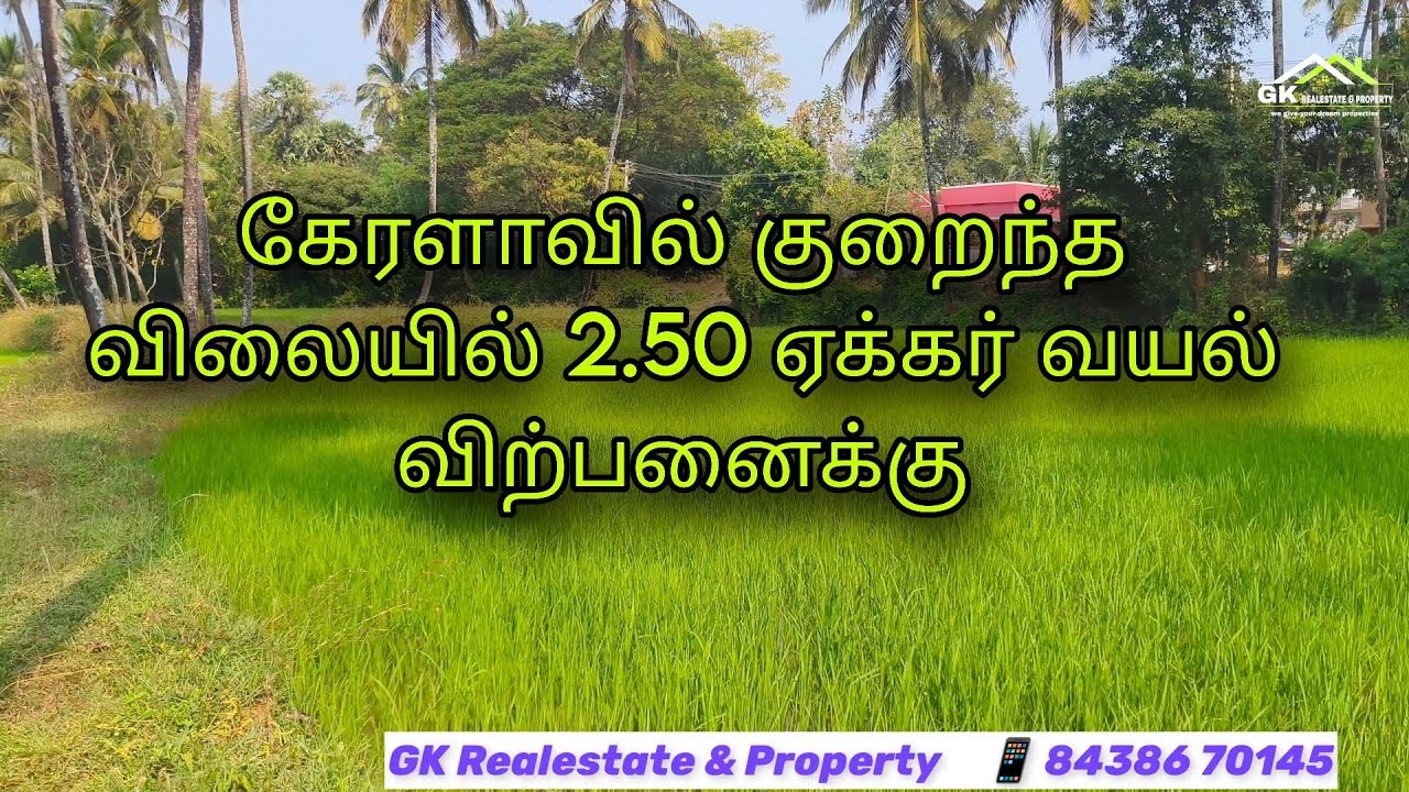 கேரளாவில் குறைந்த விலையில் 2.50 ஏக்கர் வயல் விற்பனைக்கு 