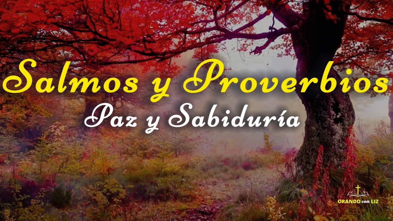 Salmos y Proverbios para dormir | Palabra de Dios para dormir en paz