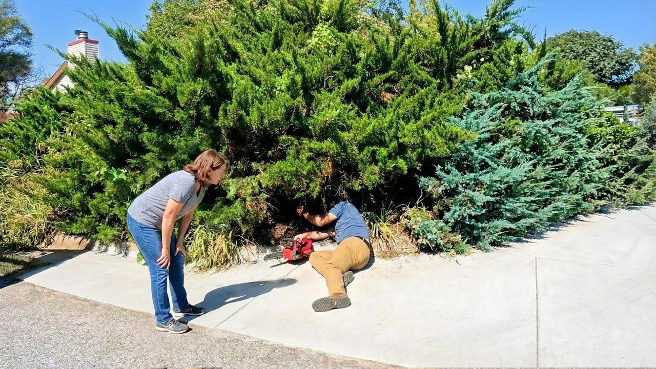 Elderly Widow Did NOT BELIEVE that this Overgrown Yard Could be Brought BACK TO Life