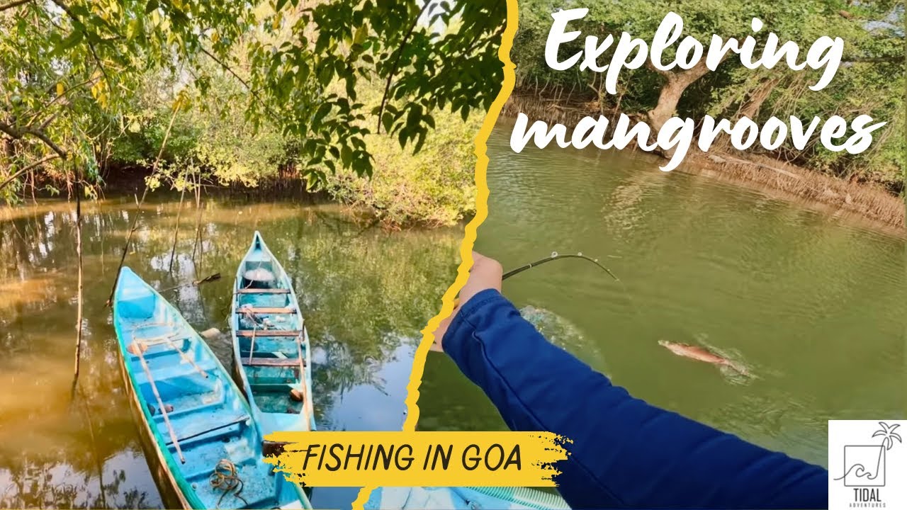 You win some, you lose some. Fishing in Goa