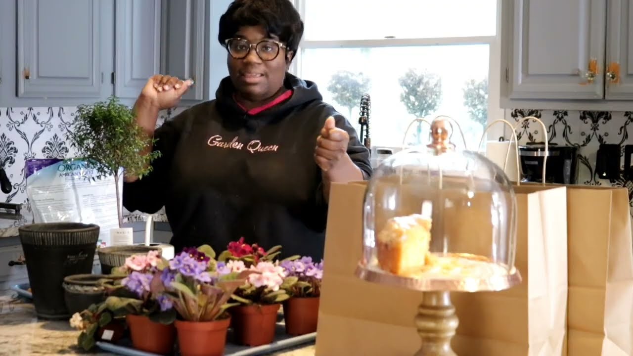 Хак с долларовым деревом: африканские фиалки + фигурная стрижка кустов из мирта + перевозка цвето...