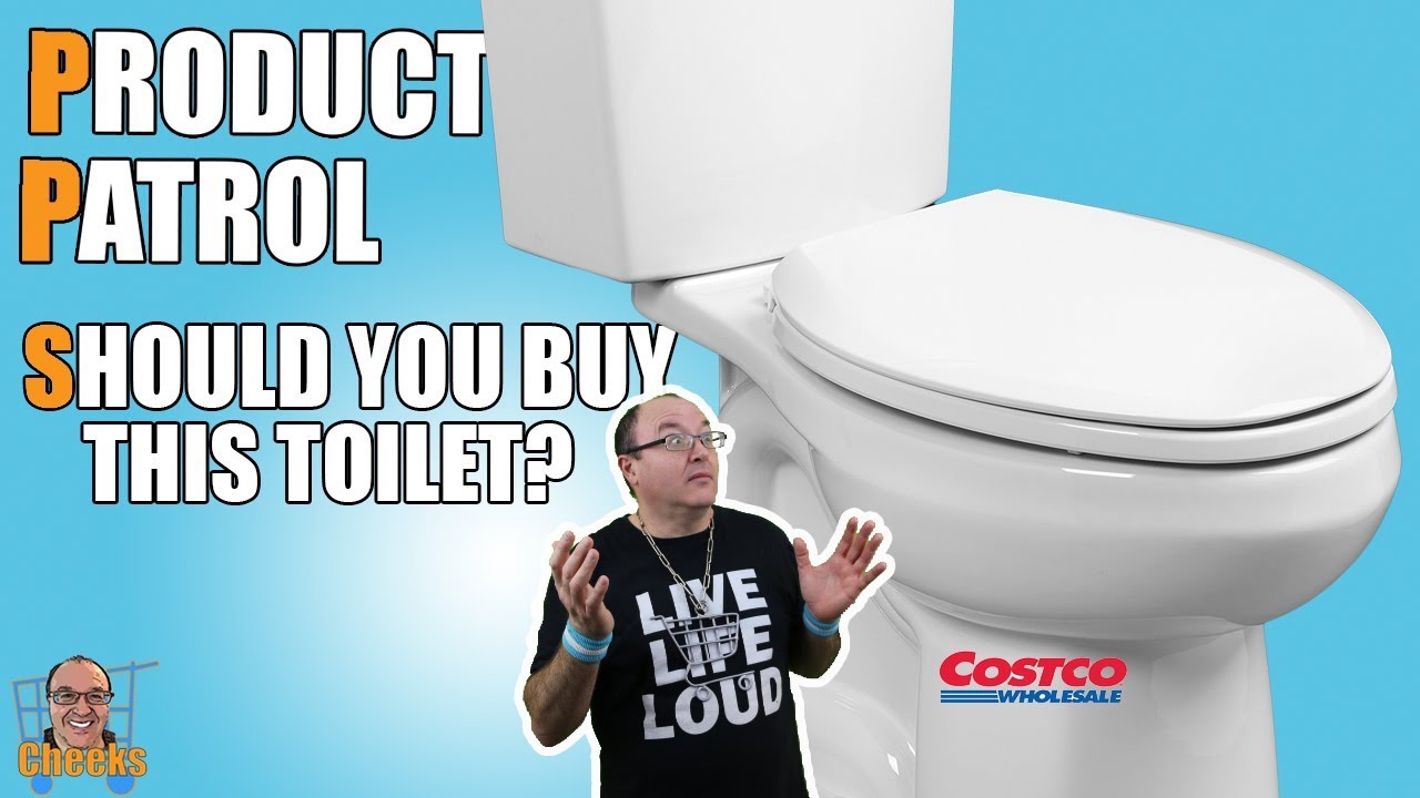 Costco Toilet Review - WaterRidge Dual Flush