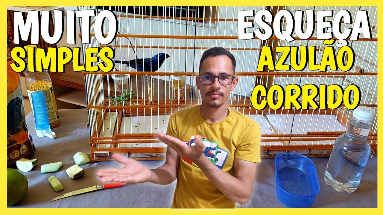 TRUQUES PARA VOLTAR RAPIDO A ORDEM DO SEU AZULÃO FRIO OU CORRIDO 😳