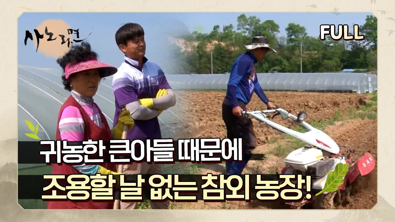 [사노라면] (full영상) 귀농한 큰아들 때문에 조용할 날 없는 참외 농장!
