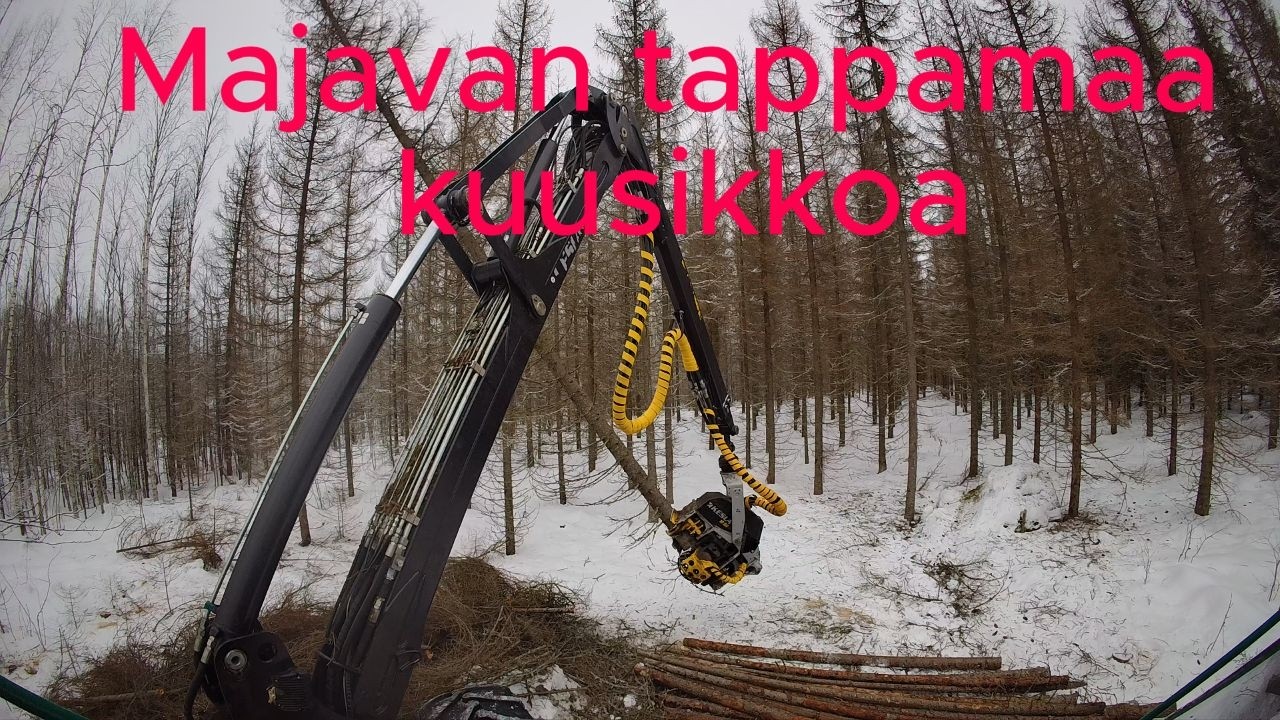 Kuolleiden kuusten poistoa Prosilva S3 & Kesla 19