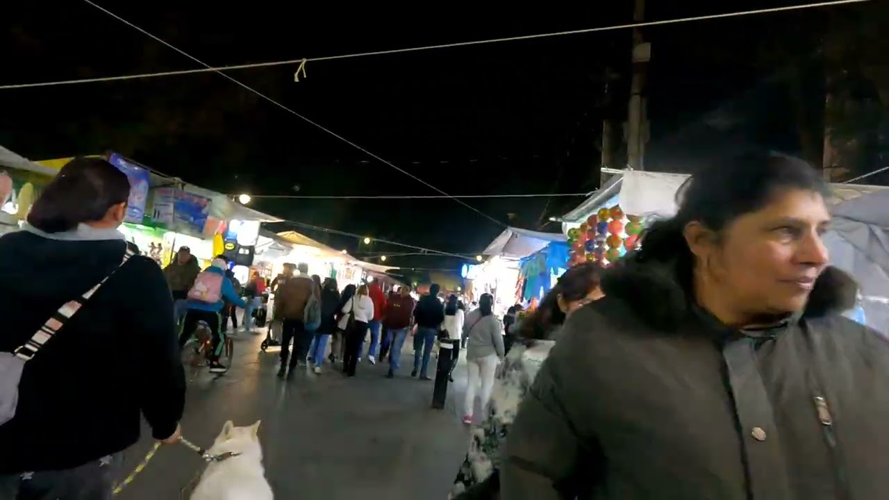 Recorriendo en la vendimia del 2 de febrero xochimilco ciudad de México 