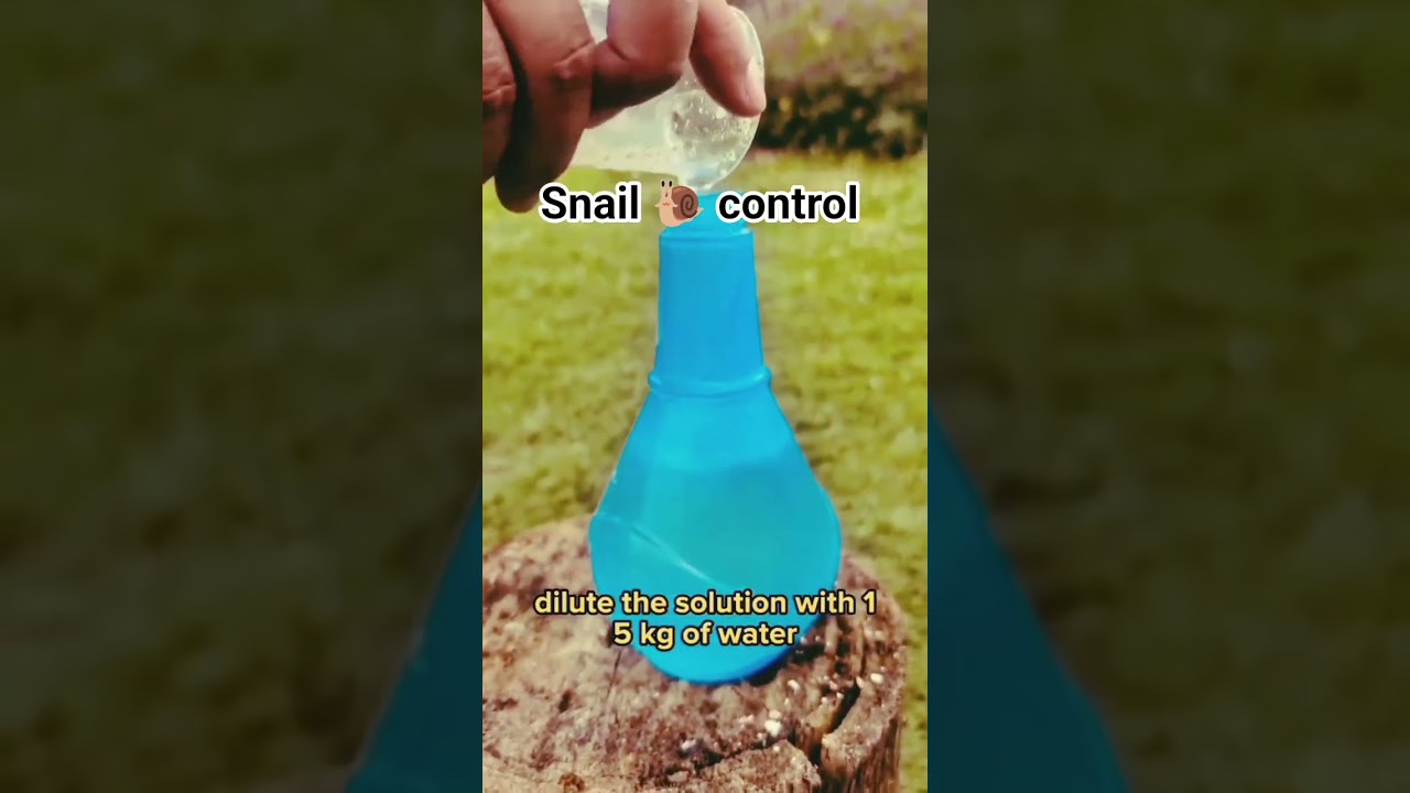 Snail 🐌 control| Biological method| Chemical control