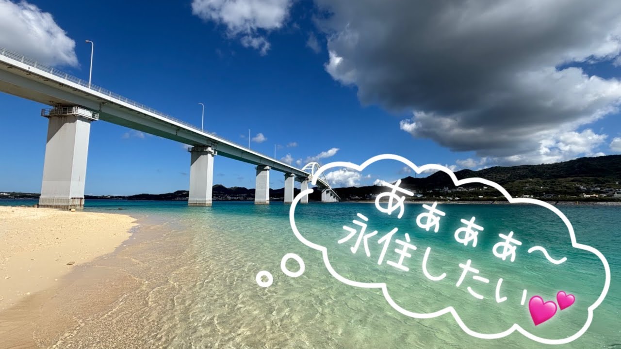 沖瀬底島に住みたくなった😆　Drive Sesoko island  2026年1月16日