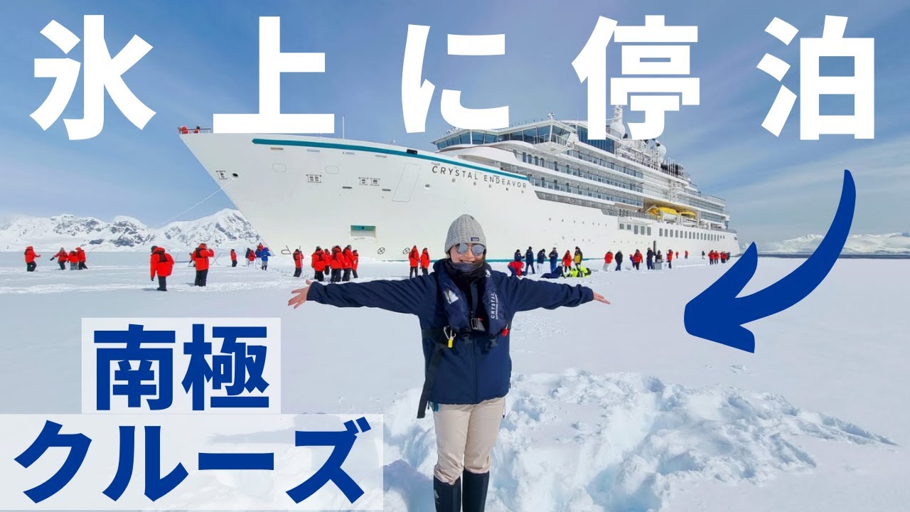【南極クルーズ】クルーズ客船で氷に停泊？南極クルーズの人気スポットもご紹介！