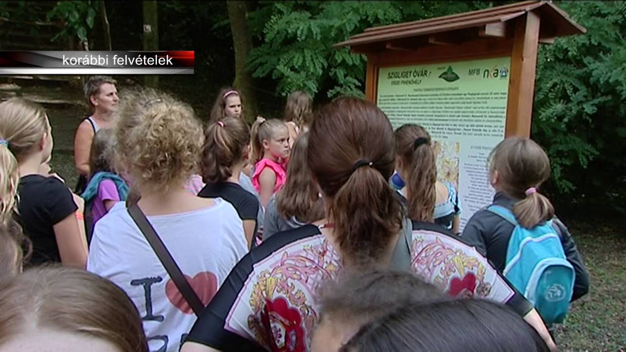 Szigligeti táborozók