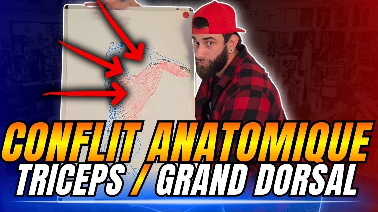 CONFLIT ANATOMIQUE: TRICEPS / GRAND DORSAL