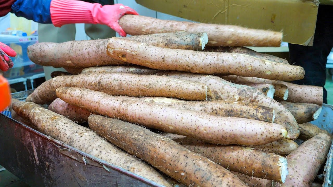 Сбор китайского батата, суп из свиных ребрышек с бататом / Taiwanese food