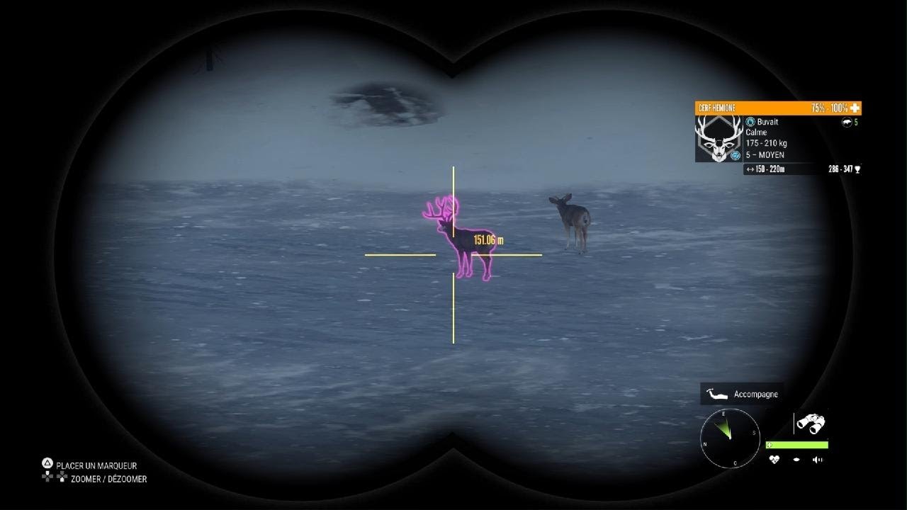 Chasse au Cerfs hémiones sur Askiy Ridge ! - The Hunter call of the wild