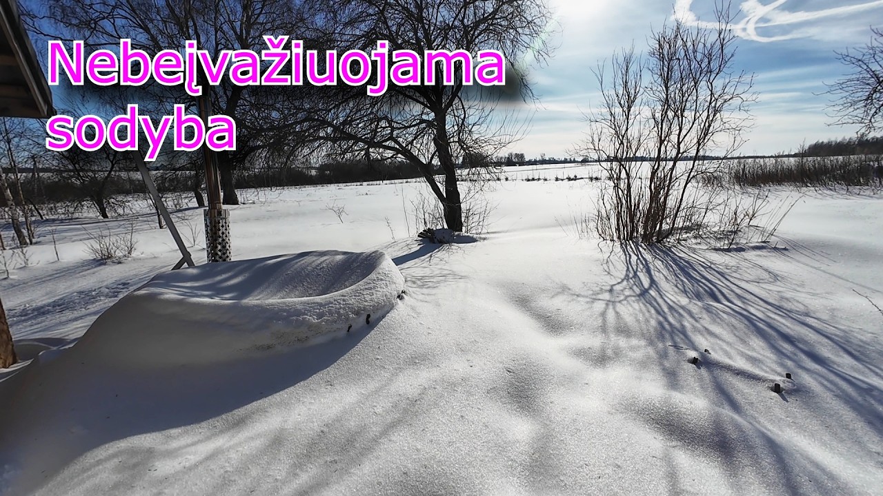 Vasario 16/ Į Vilės kaimą cepelinų/ Molinuko aplankymas