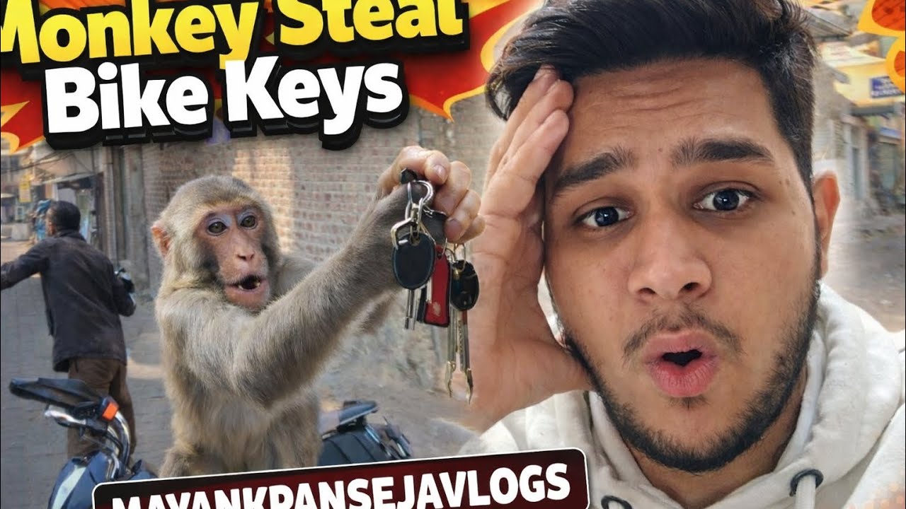 Monkey key chori kar ke le gya | Happy maha Shivaratri ji 🙏|@Mayankpanseja #trending #vlog #mahadev 