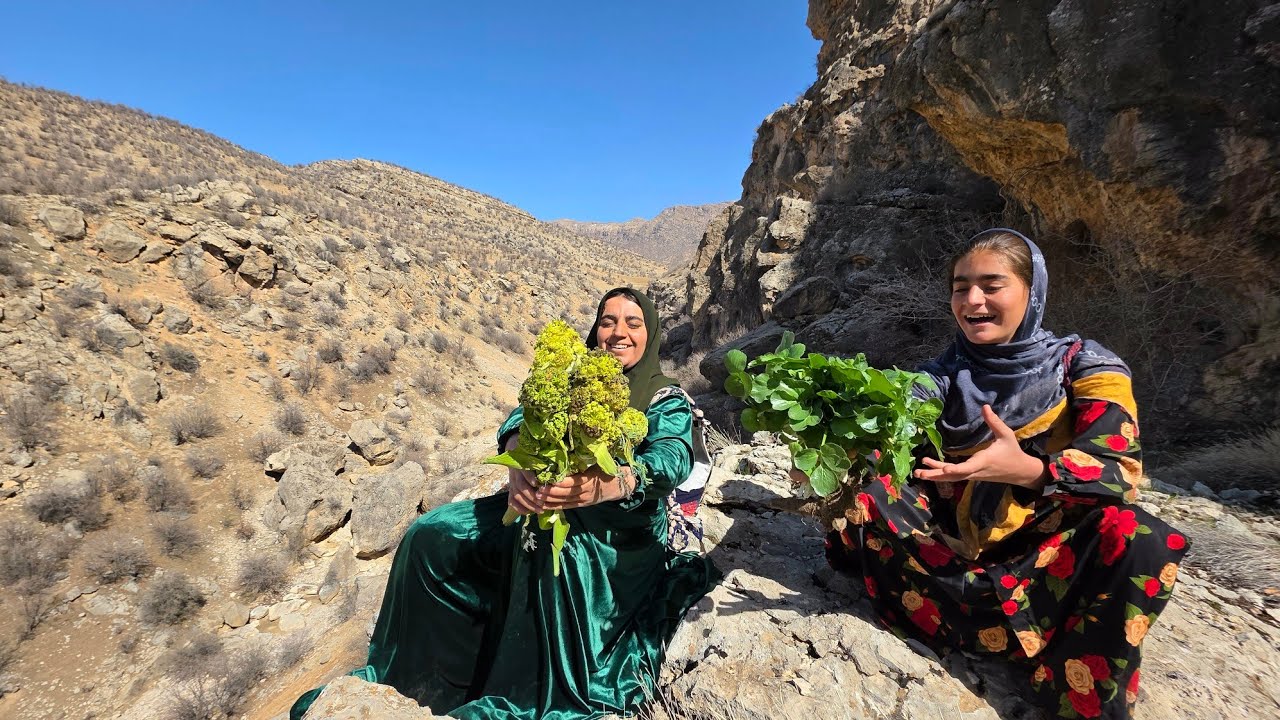 🌿⛰️ Wild Mountain Harvest! Soghra & Zeinab Picking Ganbo in the Zagros