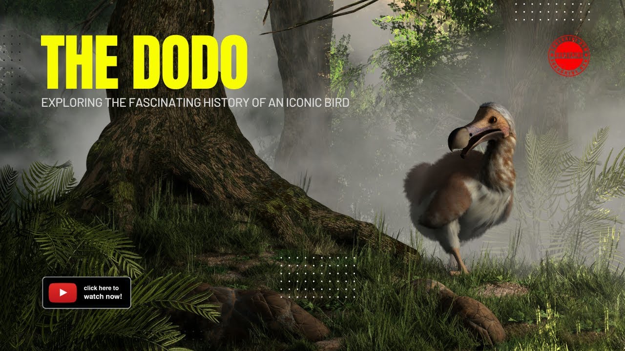 The Dodo: Extinction, Resurrection, and Ethical Dilemmas