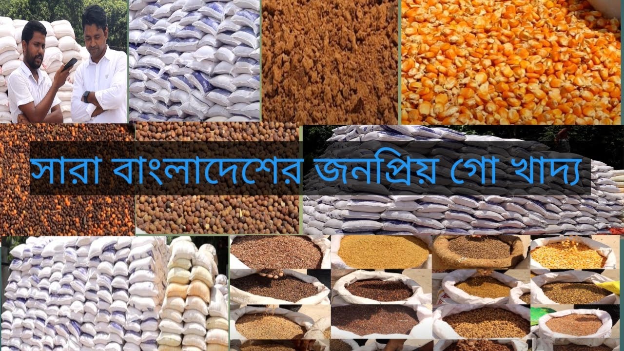 ৩০+ আইটেম দিয়ে সারা বাংলাদেশ জনপ্রিয় গো খাদ্য তৈরি